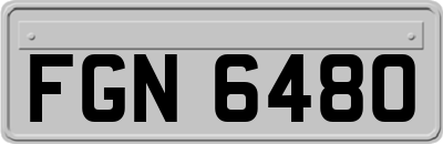 FGN6480