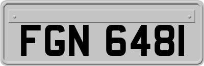 FGN6481