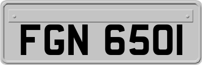 FGN6501