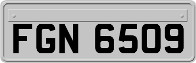 FGN6509
