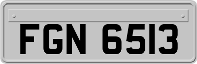FGN6513