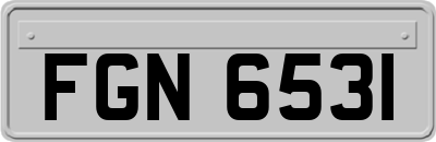 FGN6531