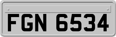 FGN6534