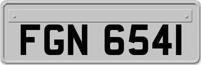 FGN6541