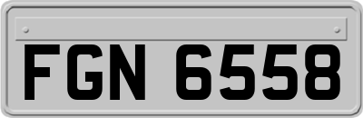 FGN6558