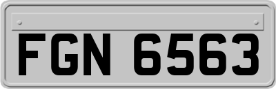 FGN6563