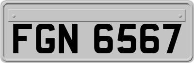 FGN6567