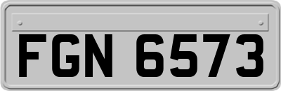 FGN6573