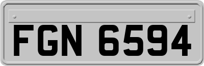 FGN6594