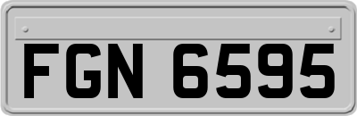 FGN6595