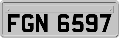 FGN6597