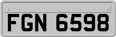 FGN6598