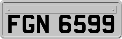 FGN6599