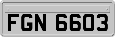 FGN6603