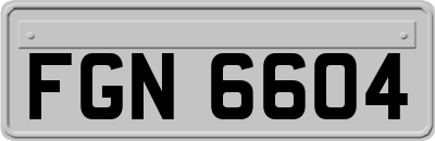 FGN6604