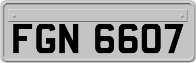 FGN6607