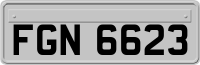 FGN6623