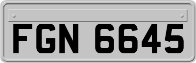 FGN6645