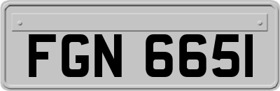 FGN6651