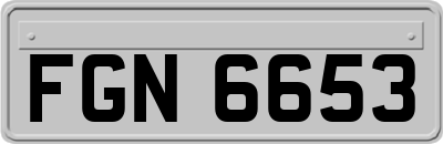 FGN6653