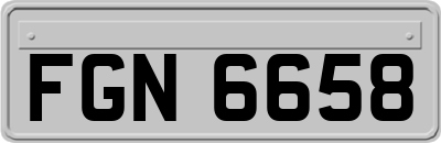 FGN6658