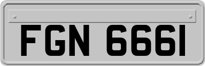 FGN6661