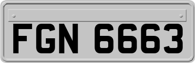 FGN6663