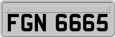FGN6665