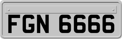 FGN6666