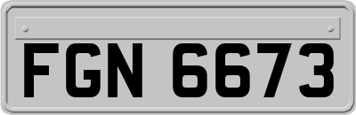 FGN6673