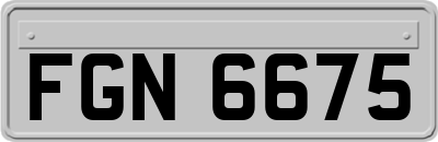FGN6675