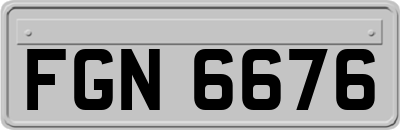 FGN6676