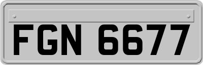FGN6677