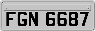 FGN6687