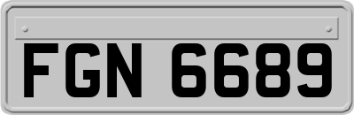 FGN6689