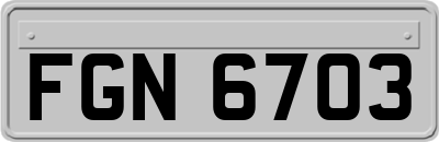 FGN6703
