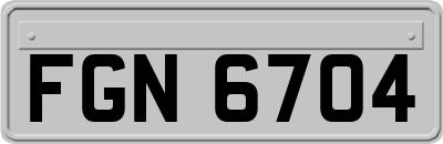 FGN6704