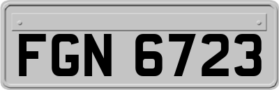 FGN6723