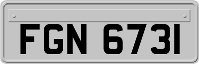 FGN6731