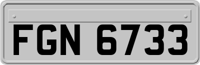 FGN6733