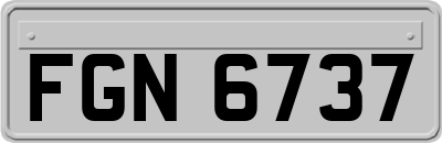 FGN6737