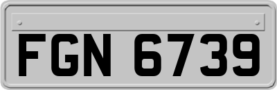 FGN6739