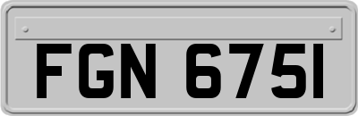 FGN6751