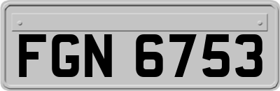 FGN6753