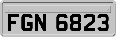 FGN6823