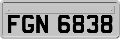 FGN6838