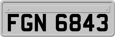FGN6843
