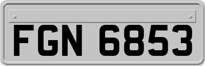 FGN6853
