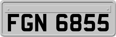 FGN6855