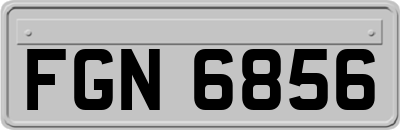 FGN6856